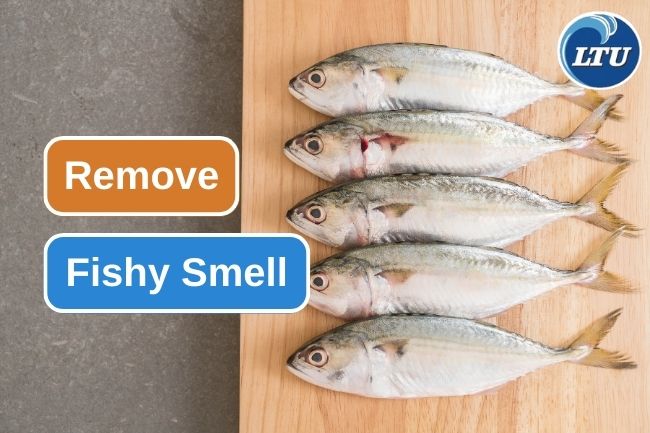 6 Best Natural Ingredients To Remove Fishy Smell